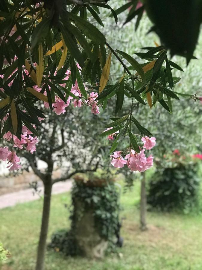 Vila La Casa Di Claudia Florencie Exteriér fotografie