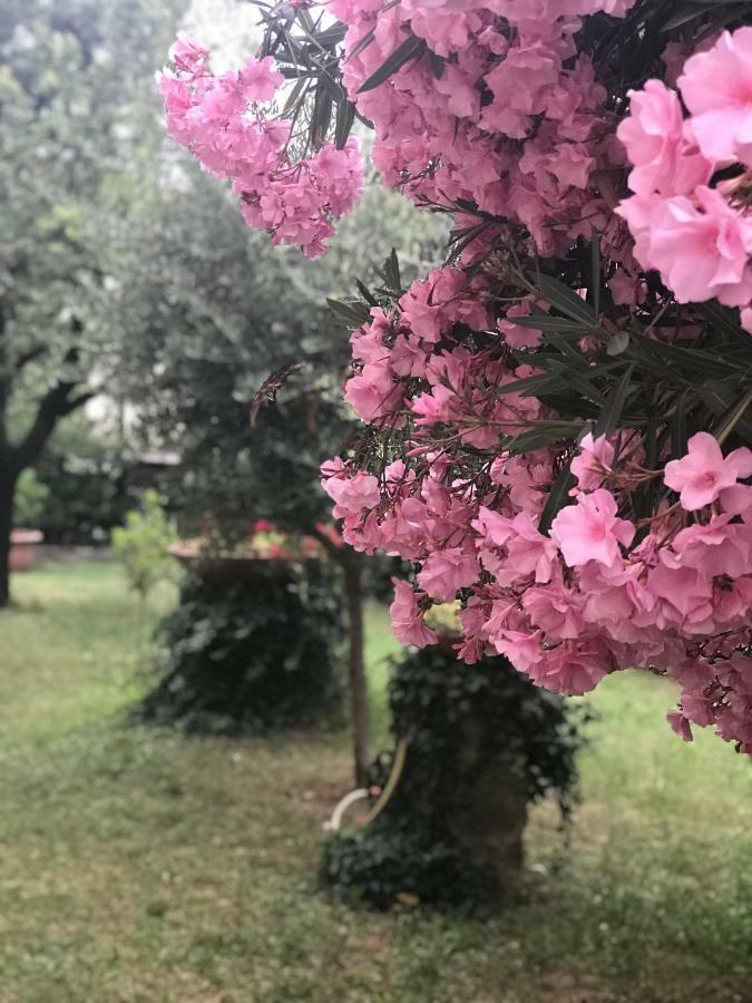 Vila La Casa Di Claudia Florencie Exteriér fotografie
